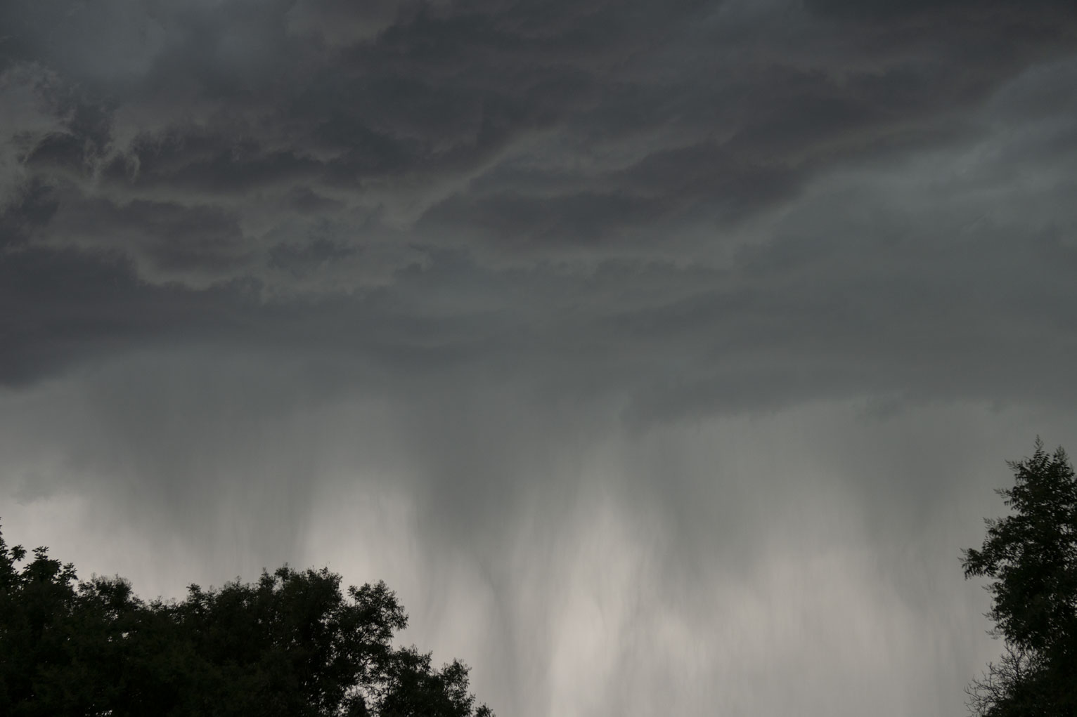 Rain falls from dark clouds, tree sillouettes in the lower corners